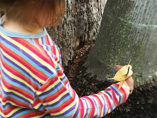 child holding a thin stick with leaves